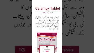 Calamox Tablet healthy health medicine medicalinfobk myyoutubechannellink [upl. by Archibald]