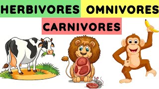 Herbivores carnivores and omnivores  Animals and their food  Eating habits of animals herbivores [upl. by Oralie]