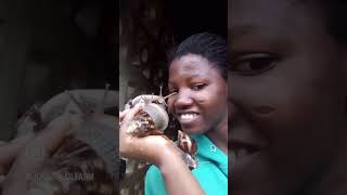 Learn snail farming for 2 hours with just 1000 naira See caption for details snails farming [upl. by Marek]