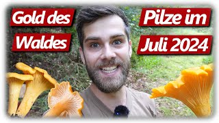 Pilze ohne Ende  Die Beste Pfifferling Saison  mit Crêpes Rezept [upl. by Rhoades858]