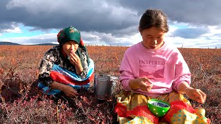 Life In Tundra in FAR NORTH How people live in Russia amp Yamal Nomads Nenets [upl. by Seitz742]