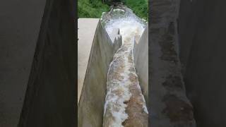 Hochwasser  Wasserburg am Inn  Bayern [upl. by Mazel]