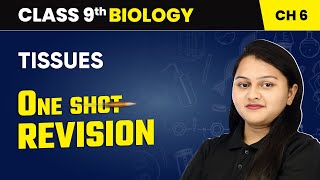 Tissues  One Shot Revision  Class 9 Biology Chapter 6  CBSE 202425 [upl. by Cerveny]