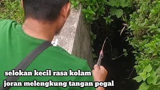 Sambaran Tiada Henti Penghuni Selokan Kecil  Mancing Ikan Umpan Alami [upl. by Fleta]