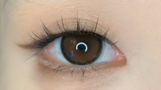 ✨💘Natural eye makeup tutorial for beginners 💯 full video  step by step tutorial make up ☑️🐰 girl 🌸💗 [upl. by Bodwell]