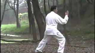 Master ZHU Tian Cai performs CHEN SHI Lao Jia Yi Lu  ChenVillage  Part 1 [upl. by Amikay]