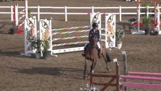 Showjumping  Chepstow International Children On Horses [upl. by Safier304]