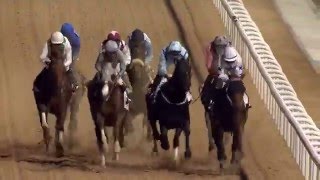 DWCC Meydan Racecourse 25216 Race 6 Trans Gulf Electromechanical Trophy Handicap [upl. by Reivazx183]