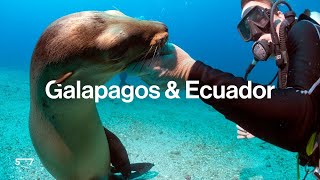 Galapagos amp Ecuador Discover the RealLife Jurassic Park [upl. by Hessler863]