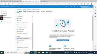 Manage Privileged Access Group  PIM [upl. by Weig663]