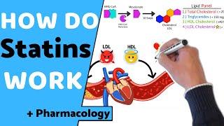 How do Statins Work  Pharmacology [upl. by Nadoj]