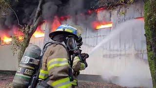 Sin cuantificar daños por incendio en granja avícola [upl. by Elsilrac]