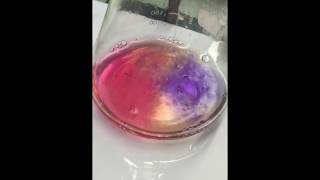 KOH against ascorbic acid titration [upl. by Jollanta369]