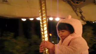 zoo lights carousel ride 2010 [upl. by Joell]