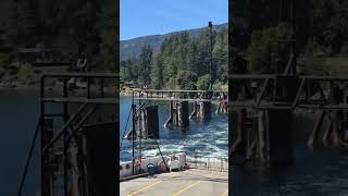 Victoria comox ferry tour to Powell river saltrey bay Gibson to Vancouver Canada 🇨🇦 BC subscribe 😉❤️ [upl. by Fortunia452]