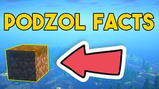 Minecraft Facts About Podzol That You Probably Didnt Know [upl. by Inalan]