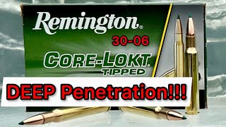 3006 Remington CoreLokt Tipped 180gr Ammo Ballistics Gel Test [upl. by Griseldis]