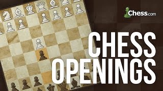 Learn to Play Chess The FourMove Checkmate [upl. by Concepcion164]