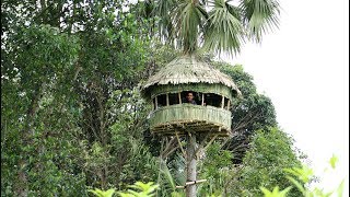 Build An AMazing Round Hut Around Palmyra Palm Tree  Round House Making By Smart Village Boys [upl. by Calv]