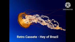 Retro Cassete  Hey of Brazil [upl. by Auqenet]