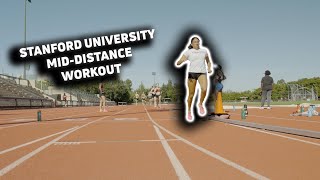 Stanford University MidDistance Workout Wednesday [upl. by Llednew]