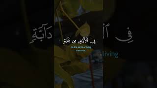 prayer for forgiving someone who hurt you foryou quranismylife viral duet quranicvibes dua [upl. by Mit]