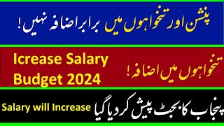 Increase Salary Budget 2024 Punjab Government  How Much Salary will increase 202425 Govt Employees [upl. by Abercromby]