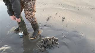 How to Razor clam in Long Beach Washington [upl. by Adnovaj]