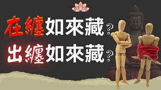 在纏如來藏？出纏如來藏？（正片121開始） Jonang Dharma Volunteers 覺囊志願者 [upl. by Holle989]