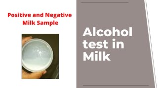 Alcohol Test in Milk  Positive and Negative Samples [upl. by Mehalek]