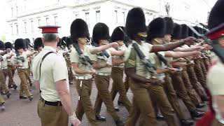 Rehearsal for the Trooping the Colour 2019 25 [upl. by Dal120]