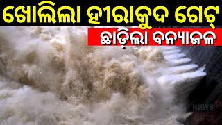 10 Sluice Gates Of Hirakud Dam Opens Today To Release Flood Water  Odisha Rain  Hirakud Gate [upl. by Aneret85]