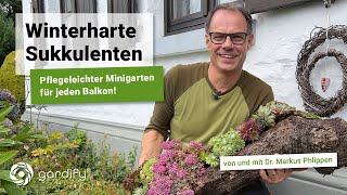 Winterharte Sukkulenten  Pflegeleichter Minigarten für jeden Balkon Hauswurz  gardify Tipps [upl. by Rohclem]