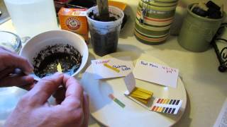 How to Use pH Litmus Strips to Measure pH in Vegetable Garden Soil  The Rusted Garden 2013 [upl. by Wordoow]