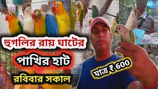 শ্রীরামপুর হাটে রবিবারের পাখির দাম অনেক সস্তা হল serampore pet market serampore Bird market [upl. by Charil]