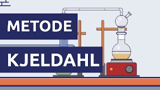 Kjeldahl digestion amp distillation unit Food Analysis Handling of equipments amp instruments Part10 [upl. by Verner]