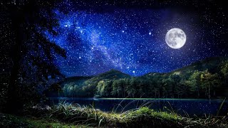 Deep Sleep Music Night Ambient Sounds And Beautiful Piano Music Cricket Swamp Sounds at Night [upl. by Einra903]