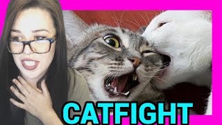 Catfight  GTA 5 Roleplay [upl. by Aiksas]