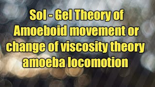 change of viscosity theory  amoeboid movement  sol  gel theory  locomotion in amoeba  amoeba [upl. by Matti]