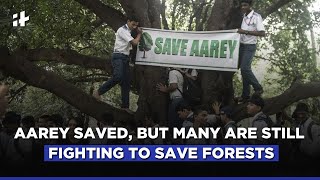 Aarey Forest Saved But Many Are Still Fighting To Save India’s Forests [upl. by Ahrendt]