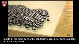 Programmable selfassembly in a thousandrobot swarm [upl. by Susannah]