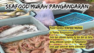 SEAFOOD MURAH PANGANDARAN Update Terbaru 2024  Lengkap dan bisa sekalian dimasakin [upl. by Sebastiano]