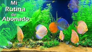 149🌳🌼Mi RUTINA de ABONADO Acuario Comunitario con Peces Disco [upl. by Ignacia]