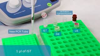 Sample Preparation for the Fast Glycan Technology on the PA 800 Plus [upl. by Allehcram]