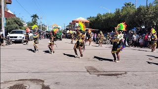 PEREGRINACIÓNES DE SAN CAYETANO Y NOVILLERO NAYARIT FIESTA PATRONAL 2023 QUIMICHIS NAYARIT [upl. by Gnehp800]