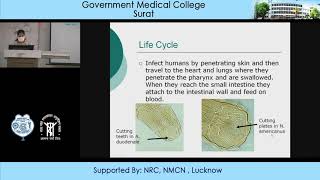 Ancylostoma Duodenale and Necator Americanus by Dr Alpa Patel Microbiology Dept GMCS [upl. by Yekram120]