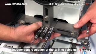 Multi spindle drilling machine for wooden handles  MODEL MT3  TEMECA [upl. by Crissy140]