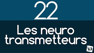 Le cerveau en 2 minutes  les NEUROTRANSMETTEURS [upl. by Nerrual812]