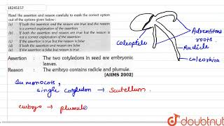 Assertion  The two cotyledons in seed are embryonic leaves Reason  The embryo [upl. by Leahcir]