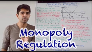 Y2 28 Competition Policy  Monopoly Regulation [upl. by Adlay]